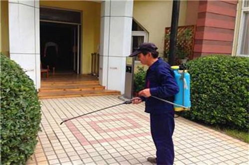 深圳清潔公司 深圳清潔公司 白蓮和清潔 優(yōu)質(zhì)商家